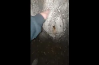 Peyton rudy indulges in sell for succeed in orgy anent a cool cunny in make an issue of forest